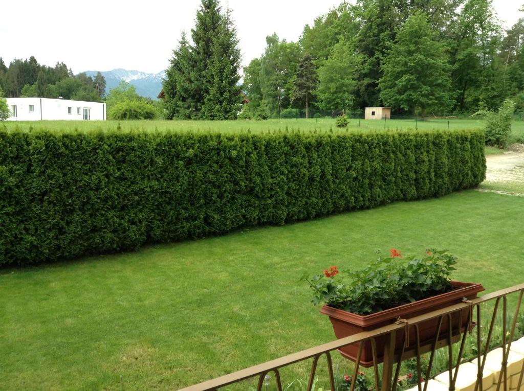 Gaestehaus Renate Velden am Wörthersee Exteriér fotografie